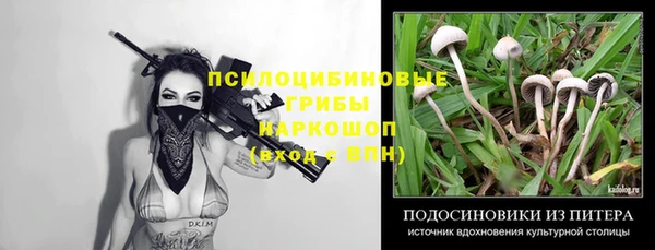 ECSTASY Киренск