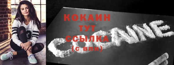 мяу мяу мука Белокуриха