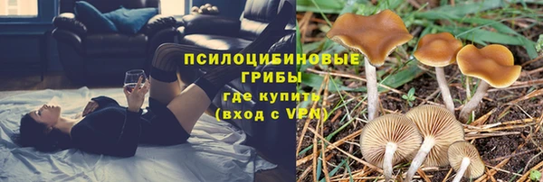мяу мяу мука Белокуриха
