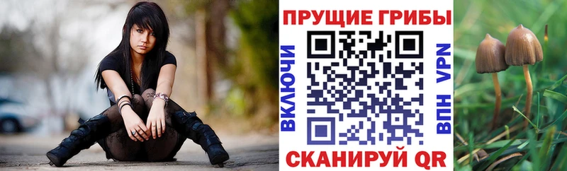 Галлюциногенные грибы GOLDEN TEACHER  Красный Холм 